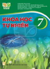 Bài tập trắc nghiệm - Kết nối tri thức