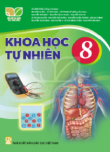 Bài tập trắc nghiệm - Kết nối tri thức