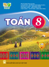 Bài tập trắc nghiệm - Kết nối tri thức