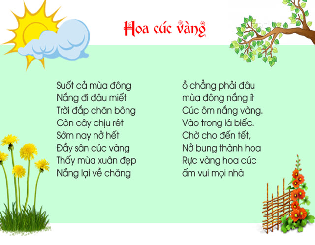Hoa cúc vàng