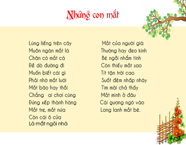 Những con mắt