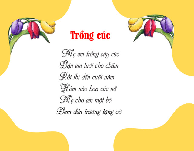 Trồng cúc