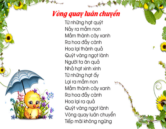 Vòng quay luân chuyển