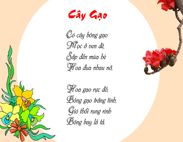 Cây gạo