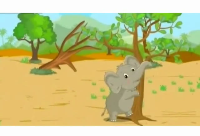 Lợi ích của con voi