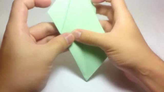 Con vẹt