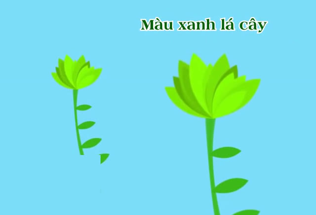 Màu sắc của bông hoa