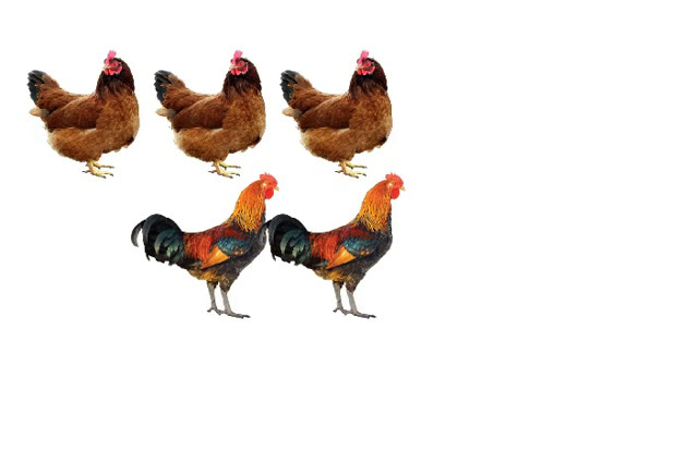 Gộp và đếm trong phạm vi 5 (3 + 2)