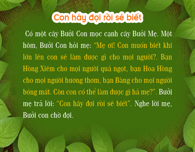 Bộ tranh ảnh: Con hãy đợi rồi sẽ biết