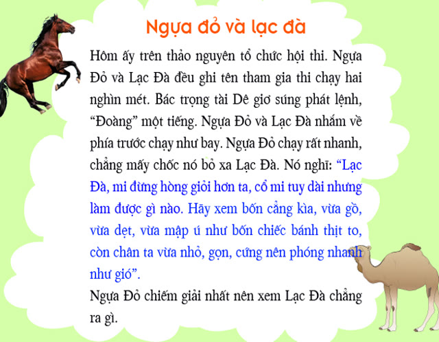 Bộ tranh ảnh: Ngựa đỏ và lạc đà