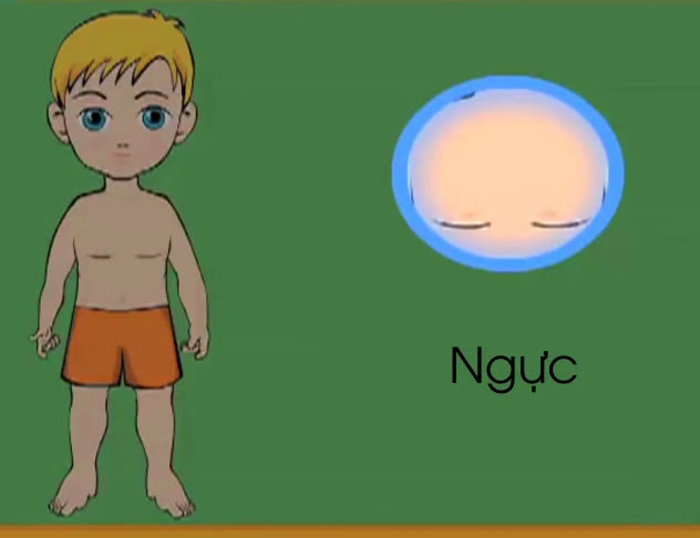 Các bộ phận cơ thể con người