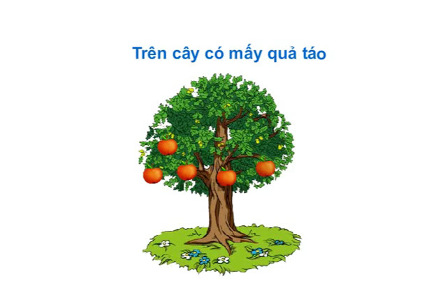 Tách nhóm trong phạm vi 9 (táo)