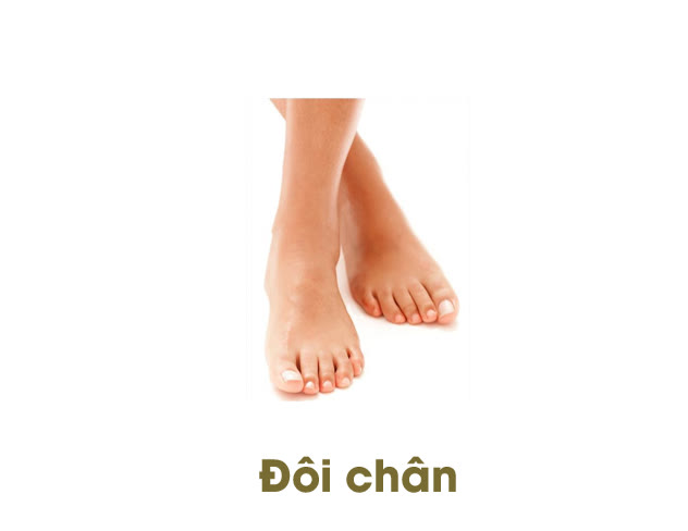 Bộ tranh ảnh: Xếp tương ứng