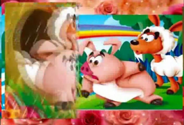 Lợn con và cừu con