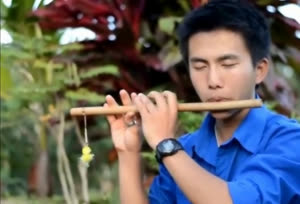Thẩm mỹ- Âm thanh nhạc cụ- thổi sáo