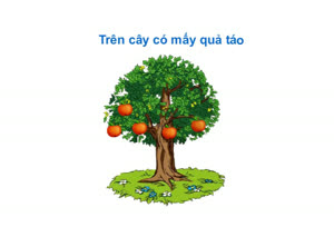 Tách nhóm trong phạm vi 9 (táo)