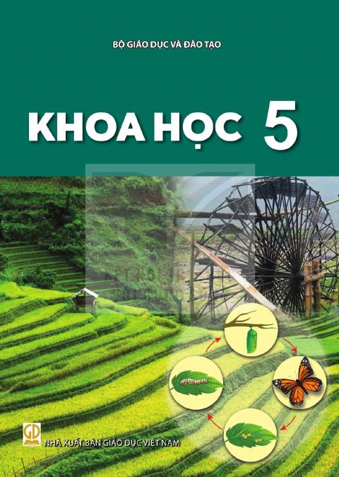 Sách giáo khoa Khoa học 5