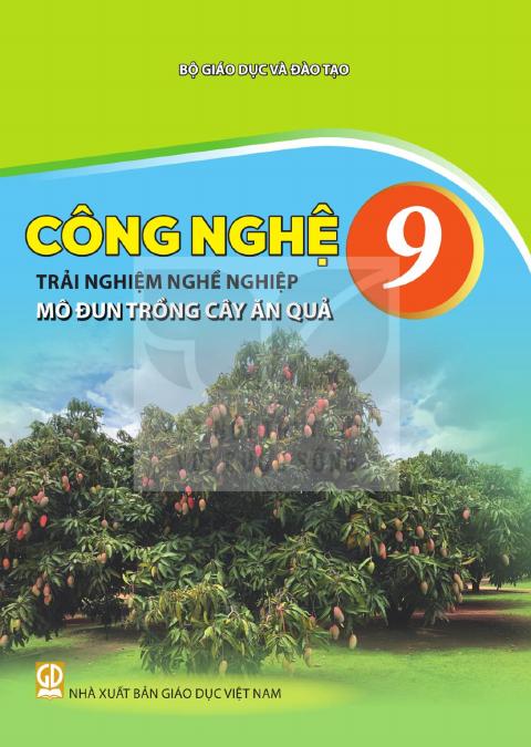 Sách giáo khoa Công nghệ 9 - Trải nghiệm nghề nghiệp - Mô đun Trồng cây ăn quả