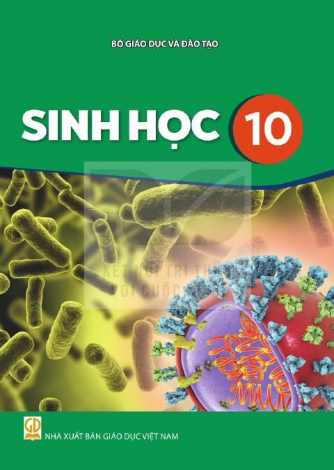 Sách giáo khoa Sinh học 10