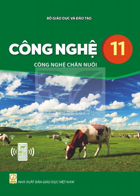 Sách giáo khoa Công nghệ 11 - Công nghệ chăn nuôi