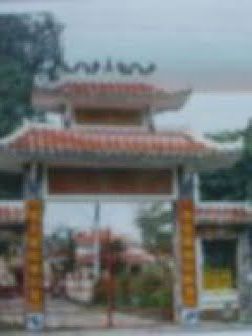 Phó Cơ Nguyễn Hiền Điều (Bùi Thụy Đào Nguyên)