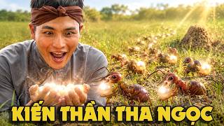 CỔ TÍCH MỚI 2026 | KIẾN THẦN THA NGỌC | CỔ TÍCH VIỆT NAM HAY NHẤT 2026