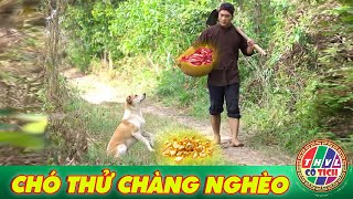 CỔ TÍCH MỚI 2025 | CHÓ THỬ CHÀNG NGHÈO | CỔ TÍCH VIỆT NAM HAY NHẤT 2025