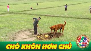 CỔ TÍCH MỚI 2026 | CHÓ KHÔN HƠN CHỦ | CỔ TÍCH VIỆT NAM HAY NHẤT 2026
