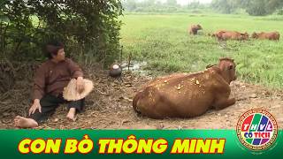 CỔ TÍCH MỚI 2026 | CON BÒ THÔNG MINH | CỔ TÍCH VIỆT NAM HAY NHẤT 2026