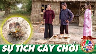 CỔ TÍCH VIỆT NAM HAY NHẤT_ SỰ TÍCH CÂY CHỔI _ TỔNG HỢP CHUYỆN XƯA TÍCH CŨ _ THVL CỔ TÍCH