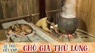 CỔ TÍCH MỚI 2026 | CHÓ GIÀ THỬ LÒNG | CỔ TÍCH VIỆT NAM MỚI HAY NHẤT 2026