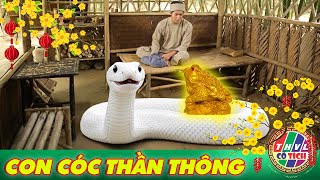 CỔ TÍCH MỚI 2026 | CON CÓC THẦN THÔNG | CỔ TÍCH VIỆT NAM MỚI HAY NHẤT 2026 | CỔ TÍCH VIỆT NAM 2026