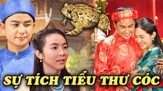 CỔ TÍCH MỚI 2026 | TIỂU THƯ CÓC | CỔ TÍCH VIỆT NAM HAY NHẤT 2026