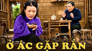 CỔ TÍCH MỚI 2026 | Ở ÁC GẶP RẮN | CỔ TÍCH VIỆT NAM HAY NHẤT 2026