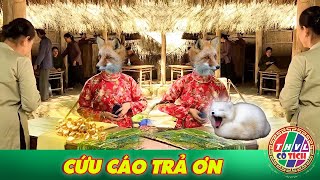 CỔ TÍCH MỚI 2025 | CỨU CÁO TRẢ ƠN | CỔ TÍCH VIỆT NAM HAY NHẤT 2025