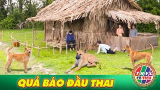 CỔ TÍCH MỚI 2023 | QUẢ BÁO ĐẦU THAI | SỰ TÍCH VIỆT NAM HAY MỚI NHẤT 2023 | CỔ TÍCH VIỆT NAM 2023