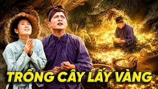 CỔ TÍCH MỚI 2026 | TRỒNG CÂY LẤY VÀNG | CỔ TÍCH VIỆT NAM HAY NHẤT 2026