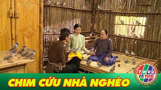 CỔ TÍCH MỚI 2026 | CHIM CỨU NHÀ NGHÈO | CỔ TÍCH VIỆT NAM HAY NHẤT 2026