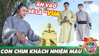 THVL CỔ TÍCH 2022: CON CHIM KHÁCH NHIỆM MÀU | PHIM LẺ CỔ TÍCH THVL 2022 HAY NHẤT | PHIM CỔ TÍCH 2022